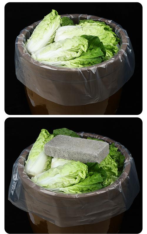 酸菜塑料袋腌制酸菜泡菜专用透明塑料平口袋子批发